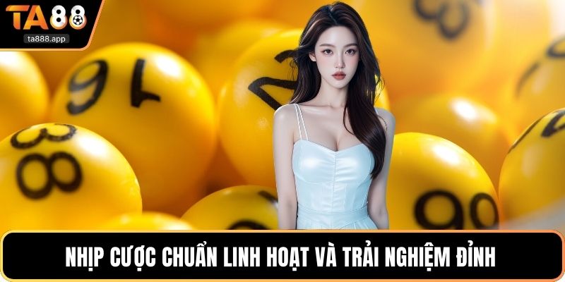 Nhịp cược chuẩn linh hoạt và trải nghiệm đỉnh 